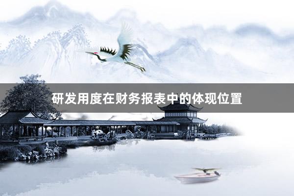 研发用度在财务报表中的体现位置